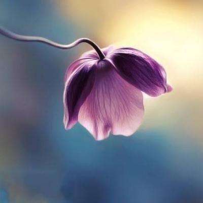 蜀山天下无限版下载